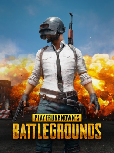 Playerunknown's Battlegrounds (PC) DIGITAL (DIGITAL)