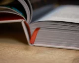 Kniha Hurt Me Plenty - Ultimátní průvodce střílečkami 2003-2010