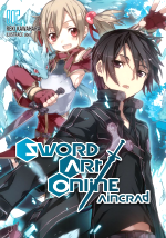 Kniha Sword Art Online 1 - Aincrad 2