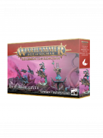 W-AOS: Disciples of Tzeentch - Seekers of Silver (5 figurek)