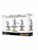 W-AOS: Disciples of Tzeentch - Tzaangor Enlightened (3 figurky)