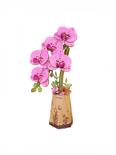 Stavebnice - Purple Moth Orchid (dřevěná)