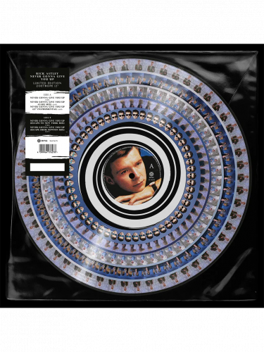 Album Rick Astley - Never Gonna Give You Up na LP (zoetrope)