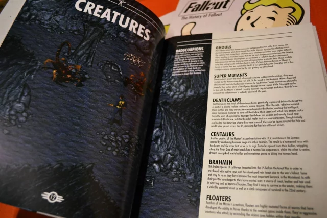 Kniha The History of Fallout