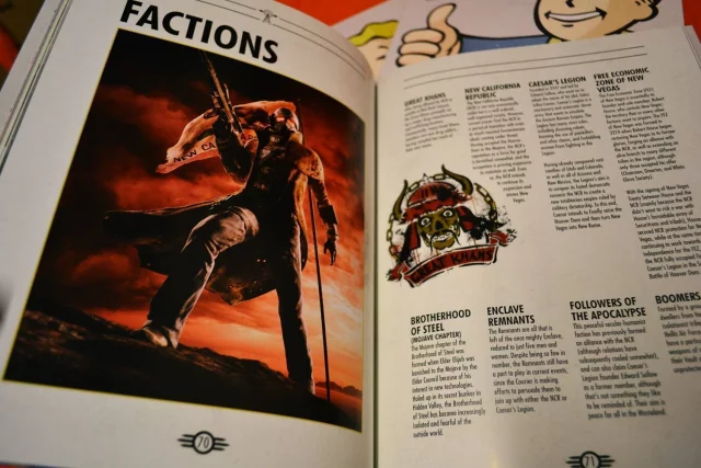 Kniha The History of Fallout