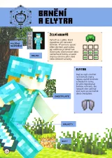 Kniha Minecraft - Příručka bojovníka