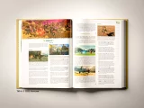 Kniha The Legend of Zelda: Tears of the Kingdom - The Complete Official Guide (Standard Edition)