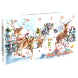 Adventní kalendář Mystery Dice 2022(Q-Workshop)