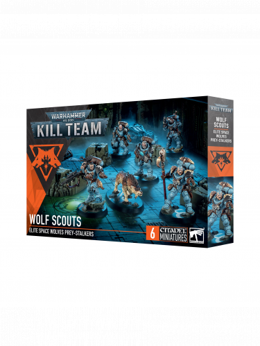 W40k: Kill Team - Wolf Scouts (6 figurek)