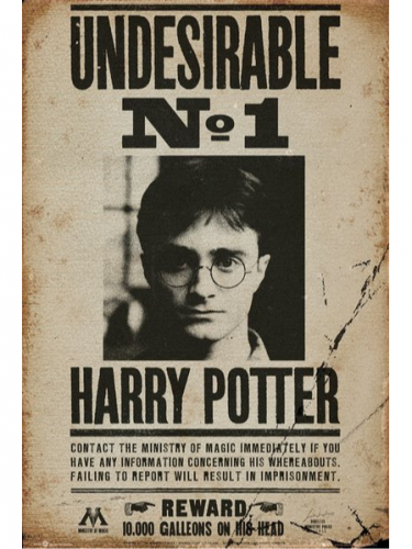 Plakát Harry Potter - Undesirable No 1