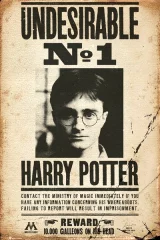Plakát Harry Potter - Undesirable No 1