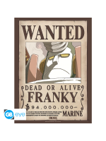 Plakát One Piece - Franky