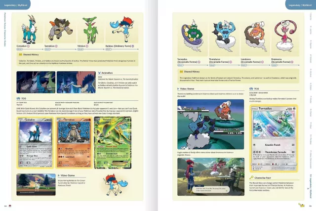 Kniha Pokémon Deluxe Character Guide ENG