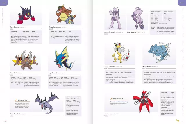 Kniha Pokémon Deluxe Character Guide ENG