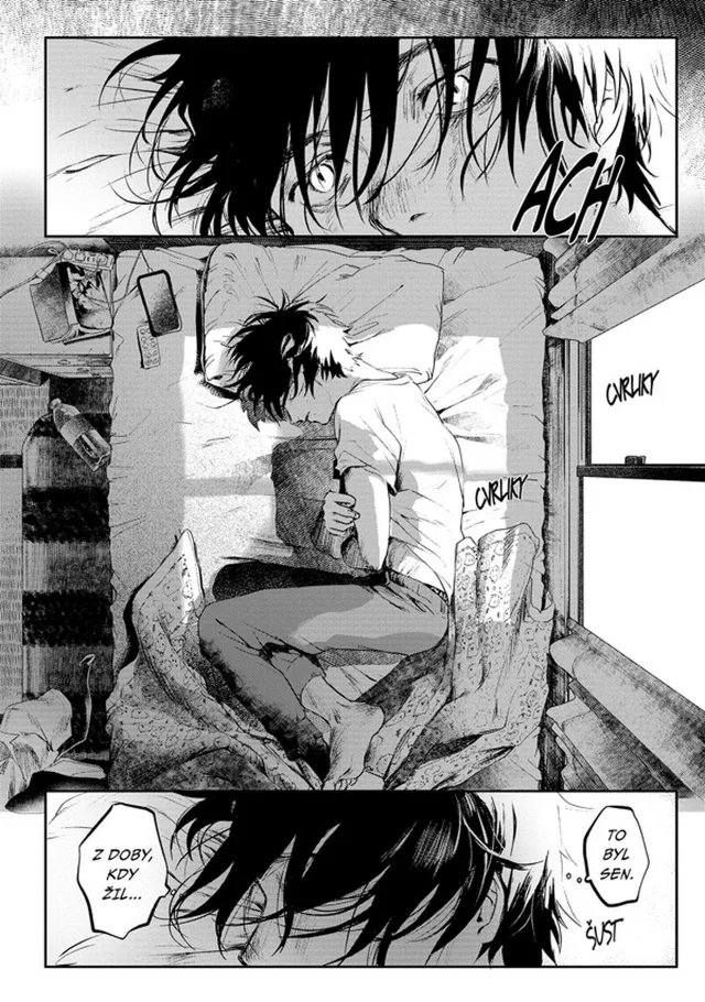 Komiks Léto, kdy umřel Hikaru 1