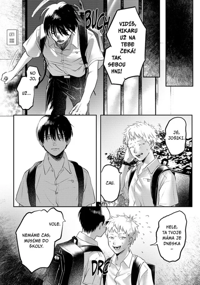 Komiks Léto, kdy umřel Hikaru 1