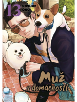Komiks Muž v domácnosti 13