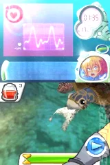 Dolphin Island 2: Underwater Adventures (NDS)