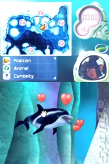 Dolphin Island 2: Underwater Adventures (NDS)