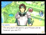 Pokemon Conquest (NDS)