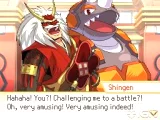 Pokemon Conquest (NDS)