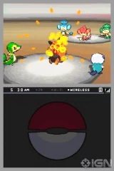 Pokémon White (NDS)