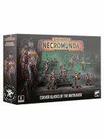 Warhammer: Necromunda - Escher Blades of the Matriarch (8 figurek)