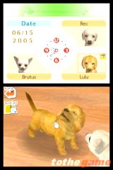 Nintendo DS Lite Pink Nintendogs Daschshund Pak