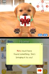Nintendogs: Chihuahua and Friends
