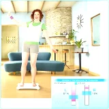 Wii fit + ballance board