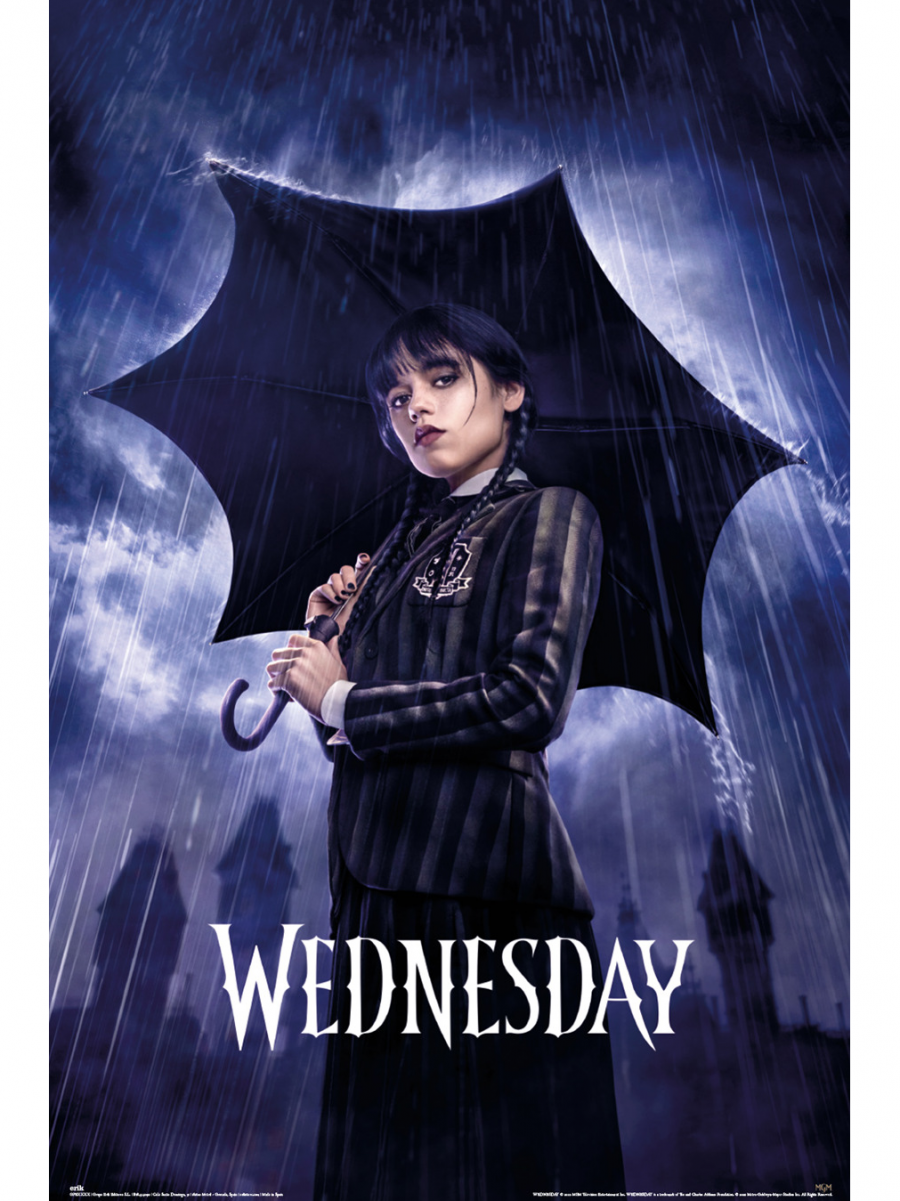 Grupo Erik Plakát Wednesday - Umbrella