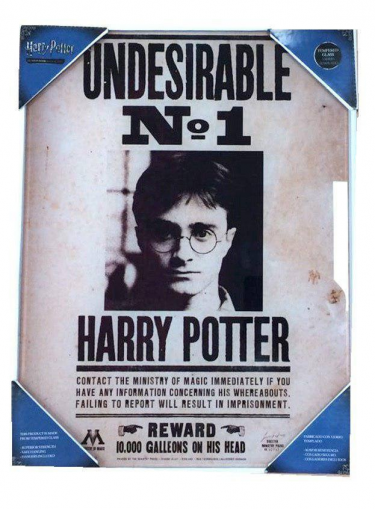 Skleněný plakát Harry Potter - Undesirable No. 1