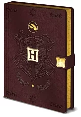Zápisník Harry Potter - Quidditch