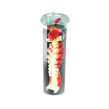 Alien Tube - Vetřelci