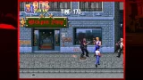 Double Dragon Trilogy + USB Retro GamePad (PC)