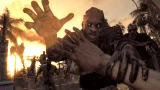 Dying Light: The Following - Enhanced Edition (PC)