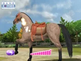 Pony Friends 2 (PC)