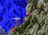 SEGA Mega Drive Classic Collection v1 (PC)
