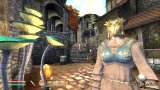 The Elder Scrolls IV: Oblivion - Shivering Isles (PC)