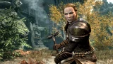 The Elder Scrolls V: Skyrim - Dawnguard (PC)