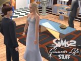 The Sims 2: Pro luxusní život (PC)
