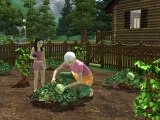 The Sims 3: Horské lázně (PC)