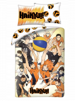 Povlečení Haikyu!! - Heroes