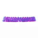 Modelářský porost AK - Purple-pink tufts (4,5 mm)