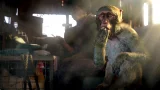 Far Cry 4 - Kyrat Edition (PS4)