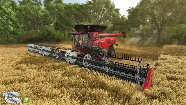 Farming Simulator 25 - Collector's Edition
