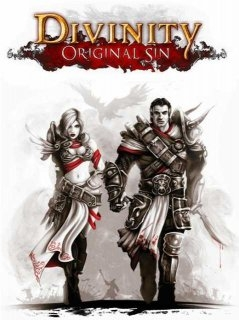 Divinity Original Sin Enhanced Edition (PC)