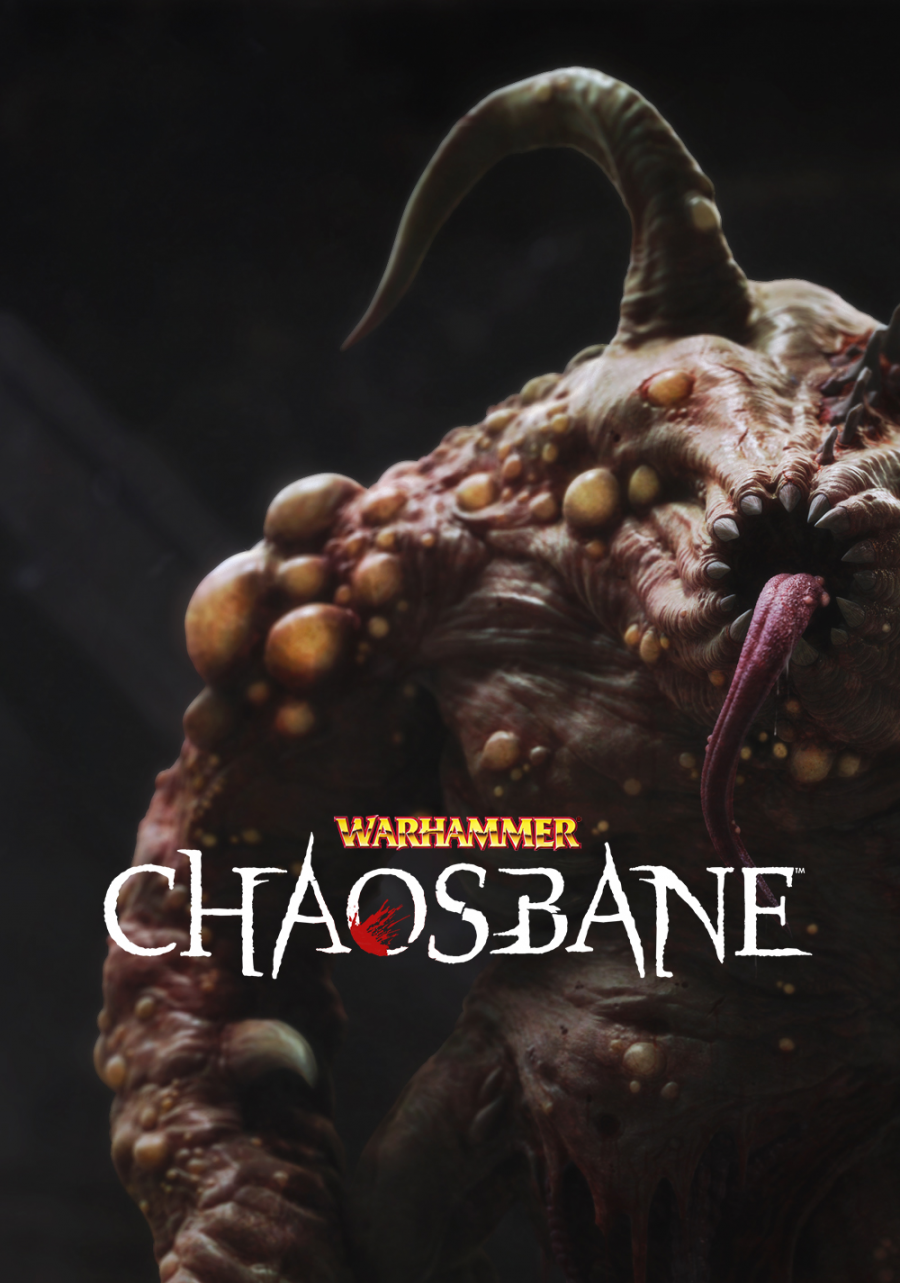 Warhammer: Chaosbane (PC) Klíč Steam (PC)