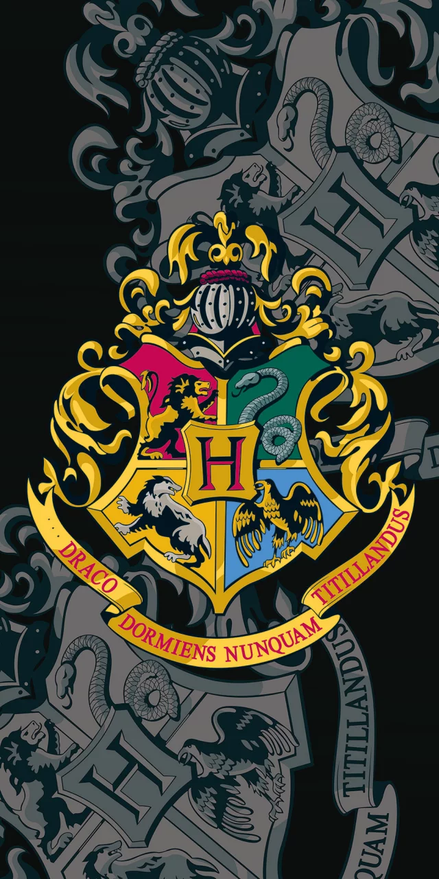 Ručník Harry Potter - Bradavice