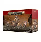Warhammer Age of Sigmar: Sons of Behemat - Stomper Tribe (4 figurky) - Desková hra